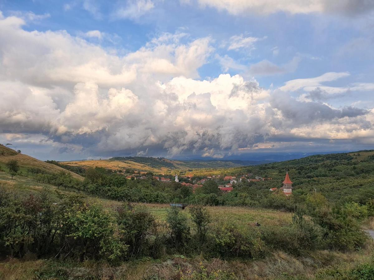 Motel Prislop Haţeg エクステリア 写真