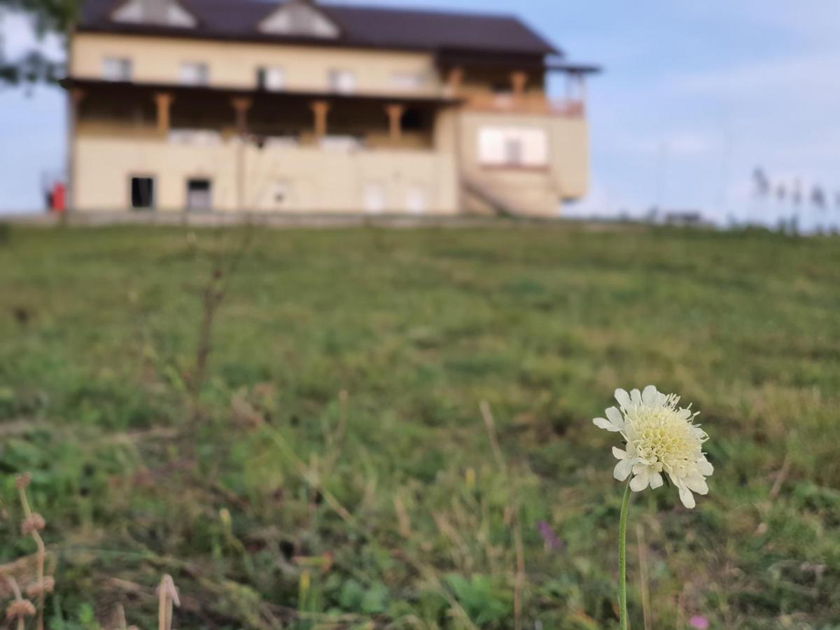 Motel Prislop Haţeg エクステリア 写真