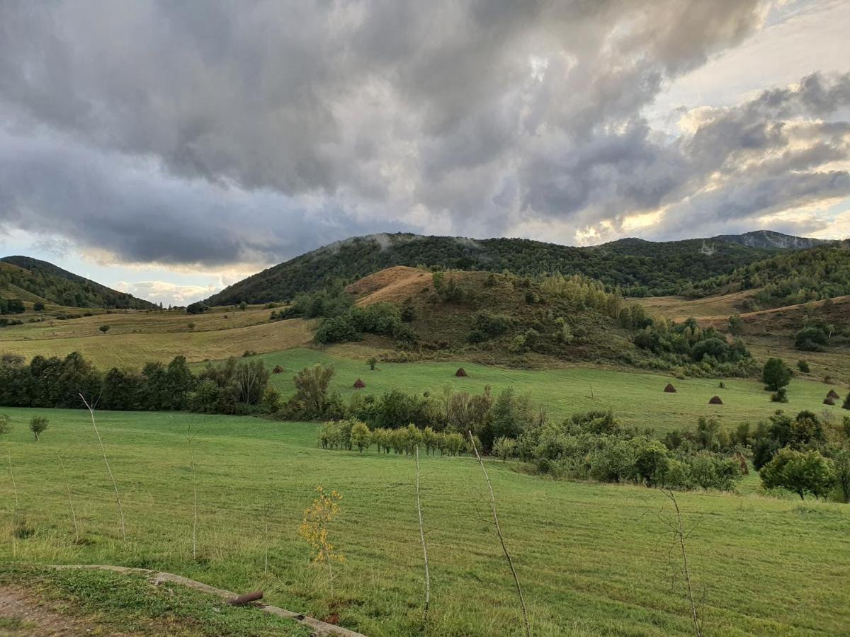 Motel Prislop Haţeg エクステリア 写真
