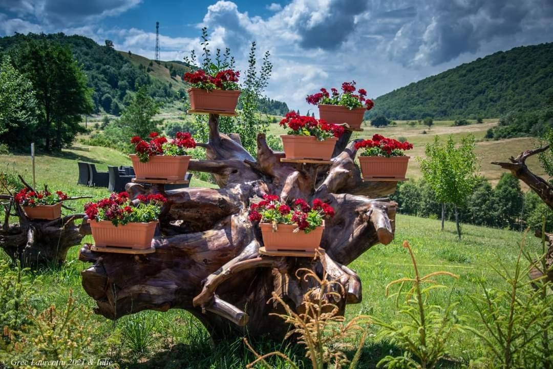 Motel Prislop Haţeg エクステリア 写真